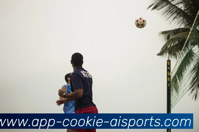 爱体育APPAPP 封面图